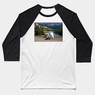 Just Walking Around Baseball T-Shirt